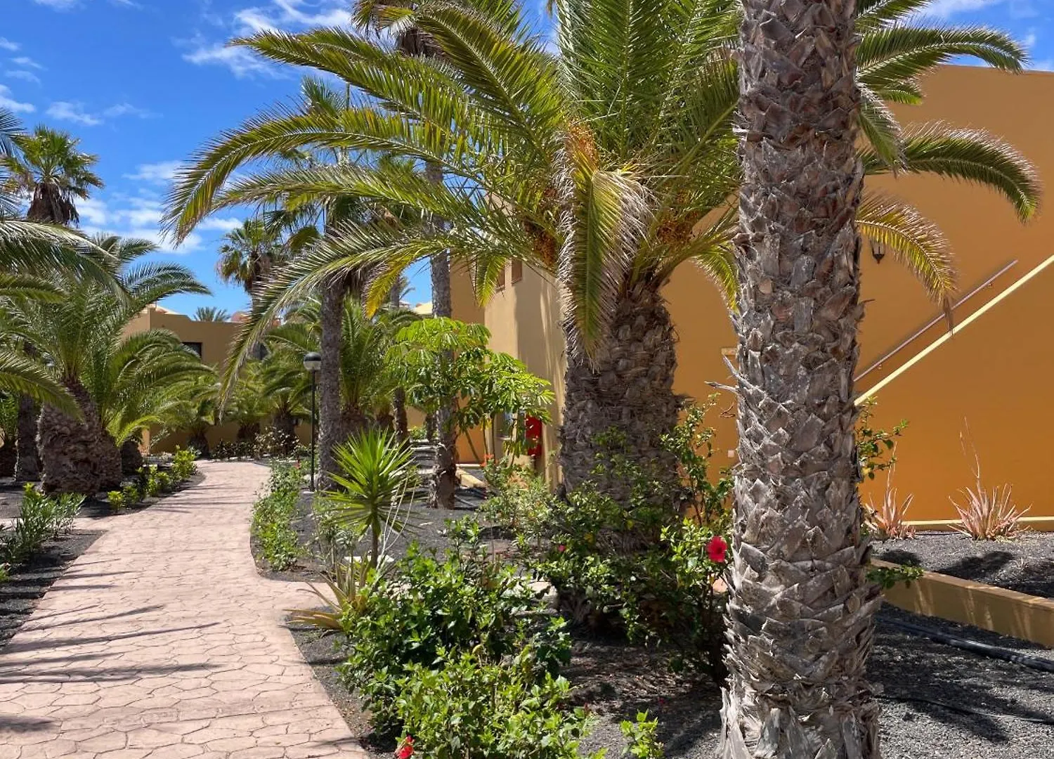 B-Rent Casa Angela Pool View Lejlighed Corralejo Spanien